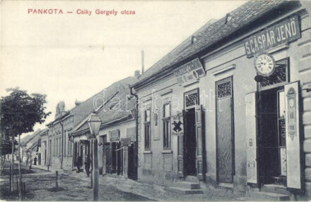 Pankota, Pancota; Csiky Gergely utca, S. Gáspár Jenő órás, Schveitzer Zsigmond tímár, Meixner János szabó üzletei, kiadja ifj. Zwonár Gyula / street, shops