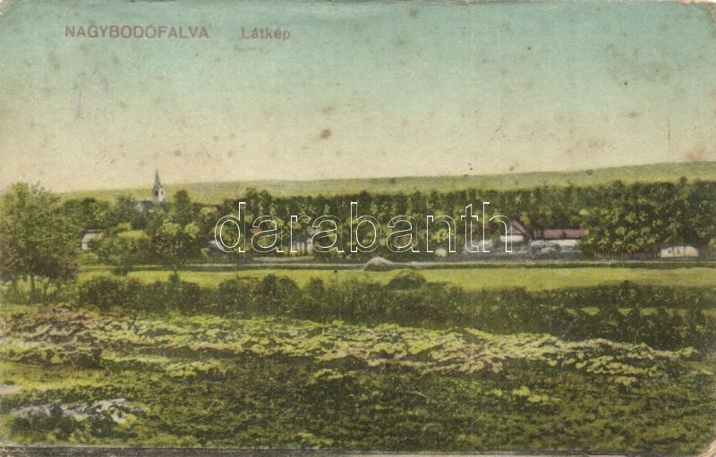 Nagybodófalva, Bodo; látkép / general view (ázott sarok / wet corner)