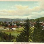Delnice, Gorski kotar