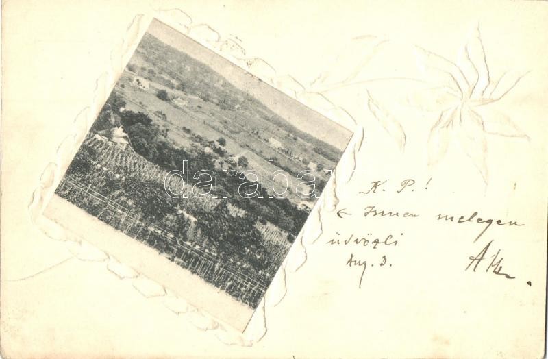 1901 Balatonalmádi, Almádi; Szőlőhegy. Díszített képeslap