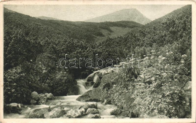 Tátra, Potok Zlominsko a Kriván / patak a Krivánon / creek on the mountain (EK)