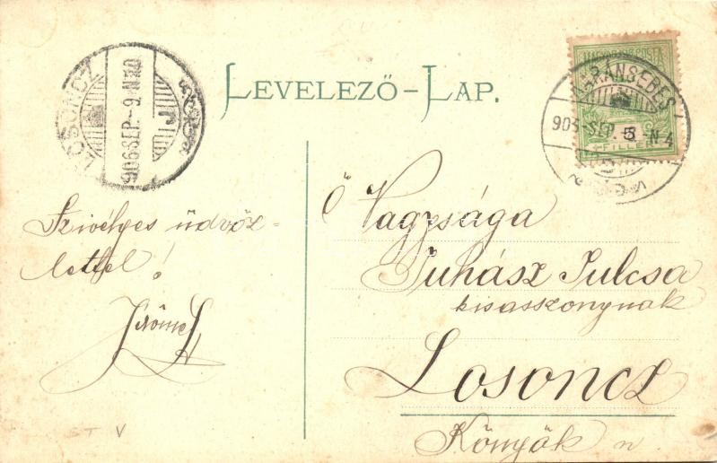 1906 Karánsebes, Caransebes; cigányok tábora, piac, folklór / Gypsy folklore, camp, market (EK) - Image 2
