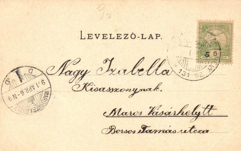 1901 Marosludas, Ludus; utcakép, Kompász János üzlete. Weinrich S. udv. fényképész képe után / street view, shop - Image 2