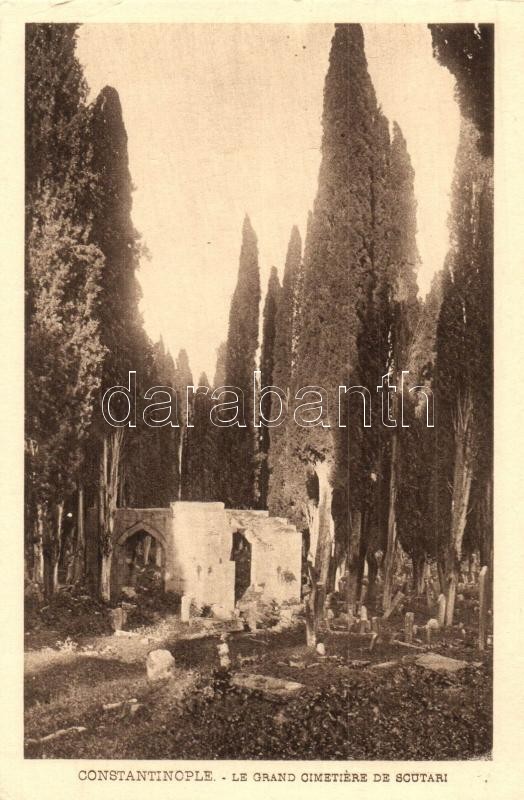 Constantinople, Istanbul; Le grand cimetiere de Scutari / Turkish cemetery. F. Rochat No. 1220. (EK)