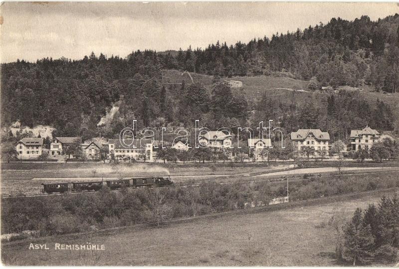 Remismühle, Asyl-Rämismühle; general view, train