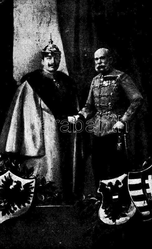 Viribus Unitis military propaganda card, Wilhelm II, Franz Joseph, coat of arms (EK)