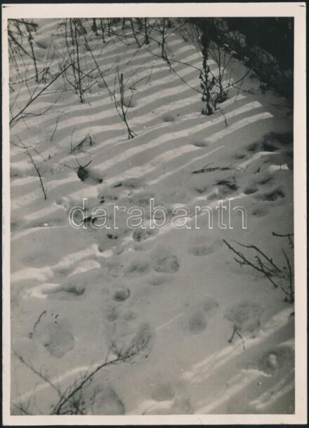 cca 1934 Kinszki Imre (1901-1945) budapesti fotóművész pecséttel jelzett vintage alkotása (Tél), 18x13 cm