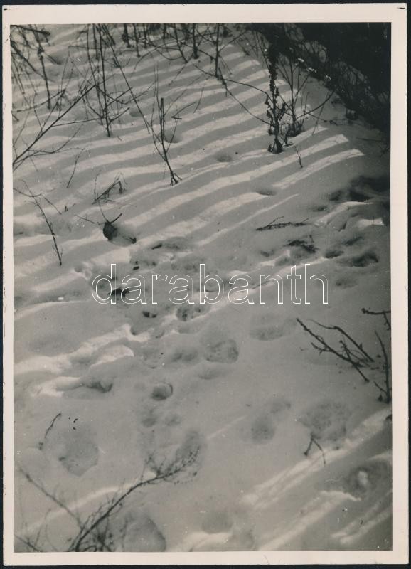cca 1934 Kinszki Imre (1901-1945) budapesti fotóművész pecséttel jelzett vintage alkotása (Tél), 18x13 cm