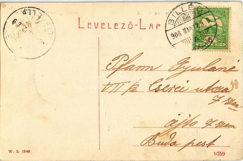 1908 Billéd, Biled; Hotel Trombitás szálloda. W. L. 1249. / hotel (gyűrődés / crease) - Image 2