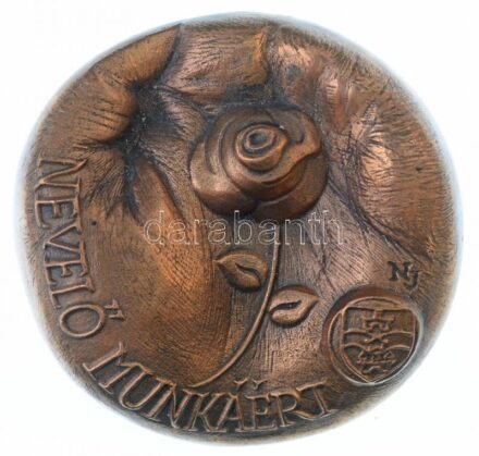 Nagy István János (1938-) DN 'Nevelő munkáért' Br plakett (92mm) T:1