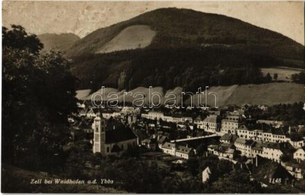 Zell bei Waidhofen a. d. Ybbs / general view (fl)