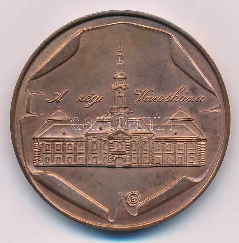 Lapis András (1942-) 1983. '100 éve épült újjá a szegedi Tanácsháza / A régi városháza' Br emlékérem (42,5mm) T:1- - Image 2
