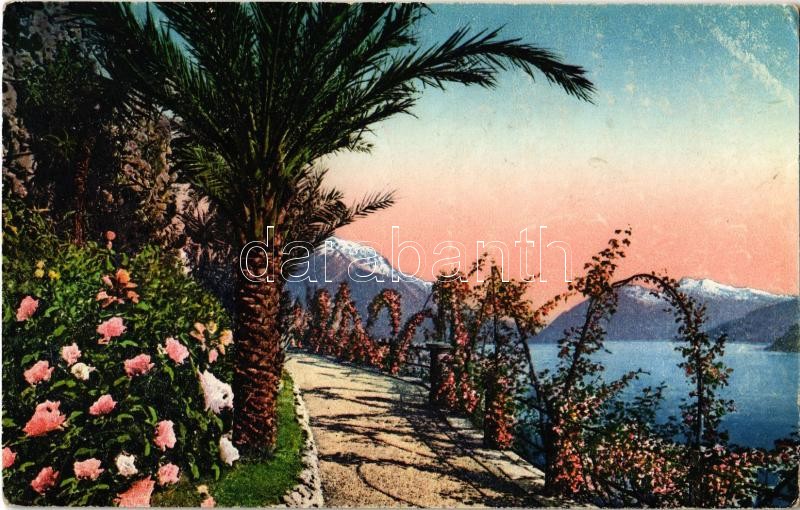 1930 Landscape. Brunner & C. 13178. (EK)