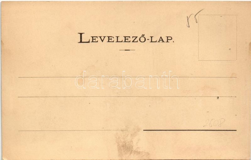 Lippa, Lipova; Kórház utca, üzlet. Krivány György kiadása / Spital-Gasse / street view, shop (fl) - Image 2