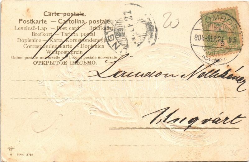 1904 Cat. Emb. Serie 3787. litho (EK) - Image 2