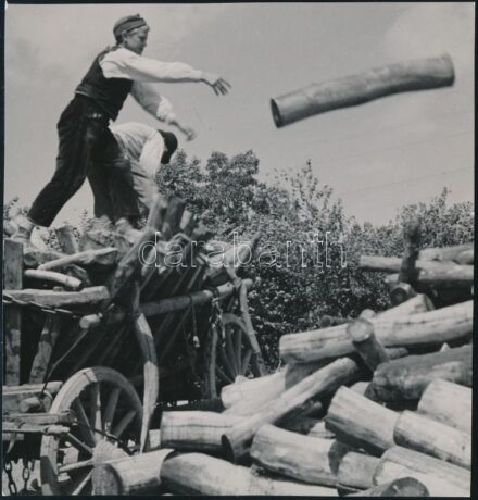 cca 1934 Kinszki Imre (1901-1945) budapesti fotóművész hagyatékából, pecséttel jelzett vintage fotó (Fatelepen), 13x12,6 cm