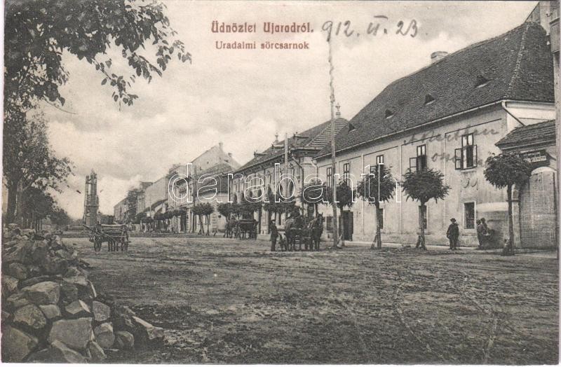 Arad, Újarad, Aradul Nou; Uradalmi sörcsarnok, gyógyszertár. Mayr Lajos kiadása / beer hall, inn, pharmacy (r)