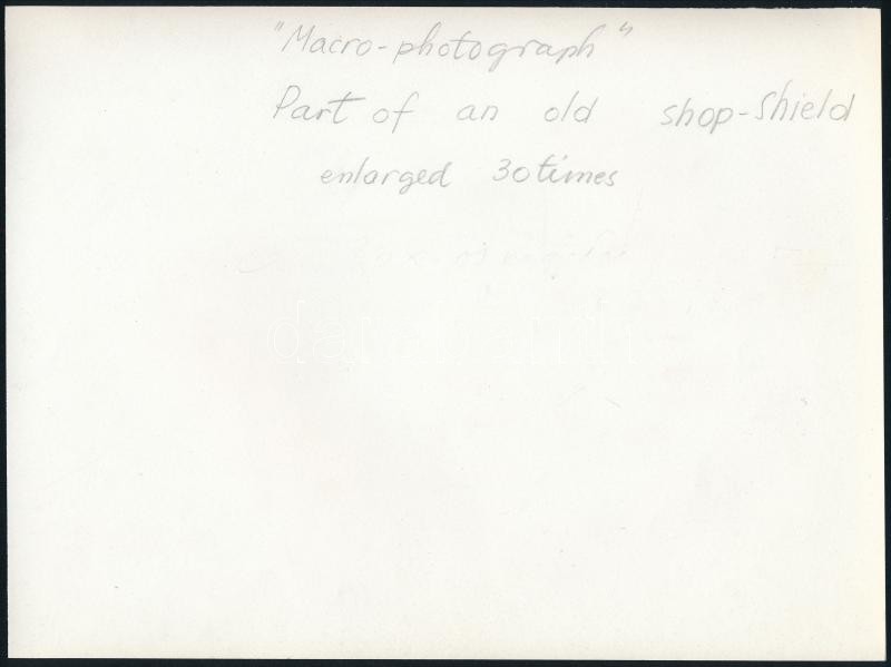 cca 1935 Kinszki Imre (1901-1945) budapesti fotóművész hagyatékából, a szerző által feliratozott vintage fotó (macro-photograph), 15x19,7 cm - Image 2