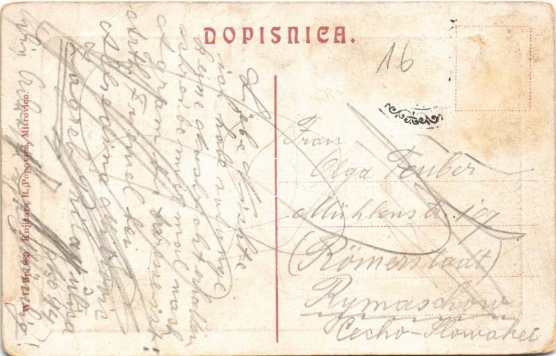 Szávaszentdemeter, Mitrovice, Mitrovitz an der Save, Sremska Mitrovica; Községháza. W. L. Bp. 883. / town hall (EB) - Image 2