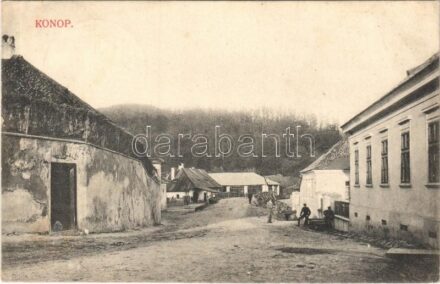 1916 Konop, Conop; utca, házak / street view, road, houses (EK)