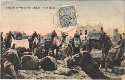 Aden, Caravan at rest Sheikh Othman, camels