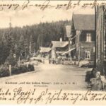 1903 Szebenjuharos, Hohe Rinne, Paltinis; nyaralók / Kurhaus Auf der hohen Rinne / villas (EK)