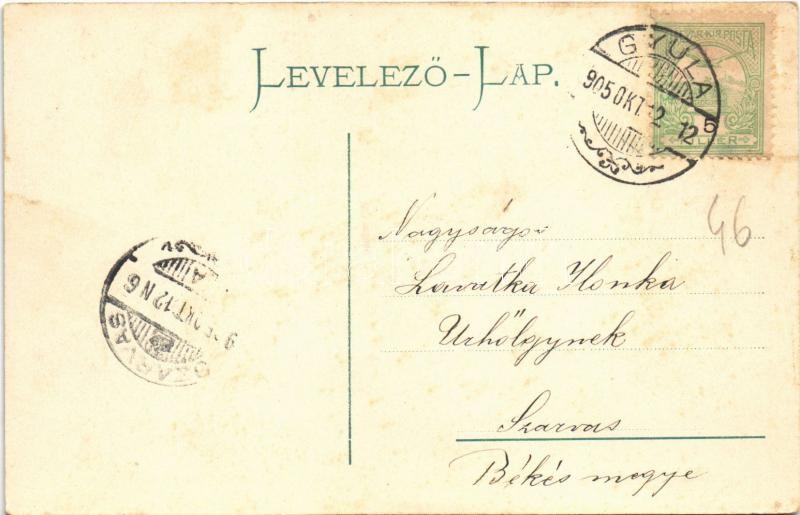 1905 Gyula, Békés vármegye székháza. Dobay János kiadása (ázott / wet damage) - Image 2