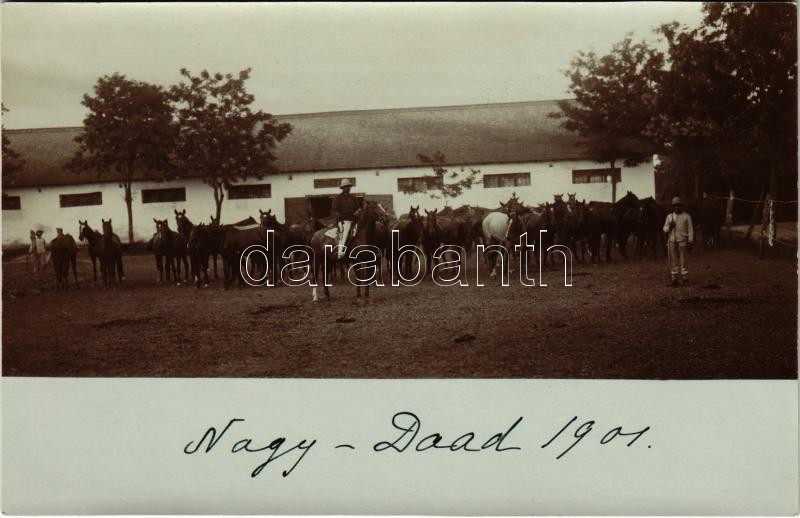 1901 Dádpuszta, Nagy-Daad (Ozora); ménes udvara. photo