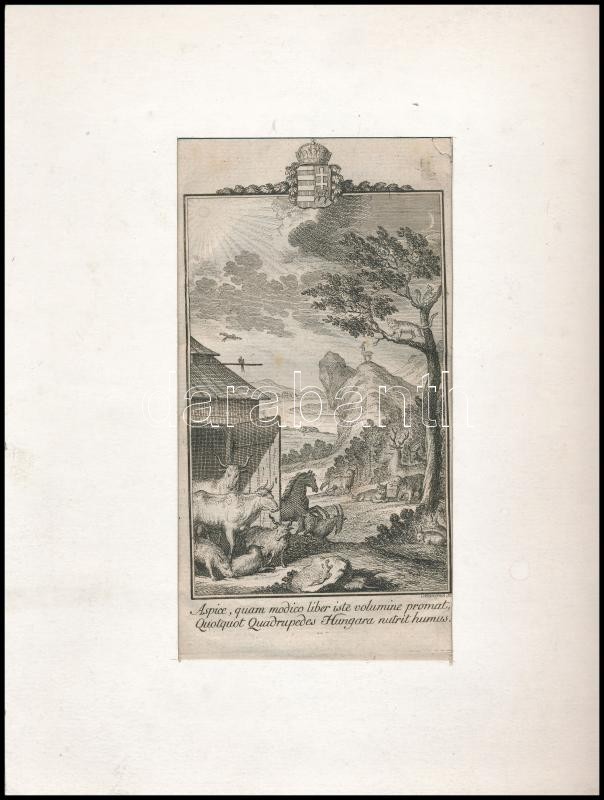 'Aspice quam modico liber iste volumine promat quotquot quadrupedes hungara nutrit humus' Mansfeld rézmetszet, magyar címerrel. 18,5x9,5 cm