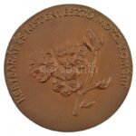 DN 'Somogyi Imre 1902-1947 / Kertbarát és Kistenyésztő Mozgalomért' kétoldalas, öntött bronz emlékérem eredeti tokban (98mm) T:1- - Image 2