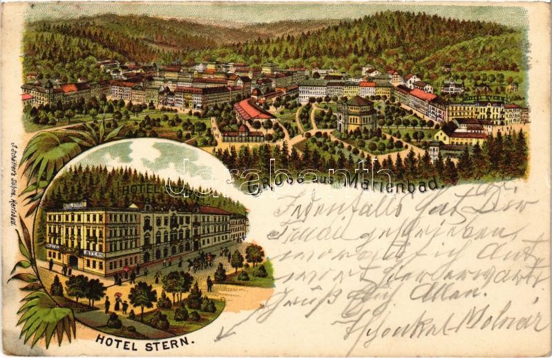 1905 Mariánské Lázne, Marienbad; Hotel Stern. Art Nouveau, floral, litho (EK)