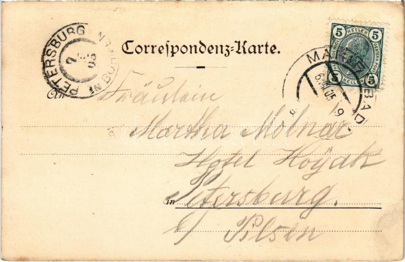 1905 Mariánské Lázne, Marienbad; Hotel Stern. Art Nouveau, floral, litho (EK) - Image 2