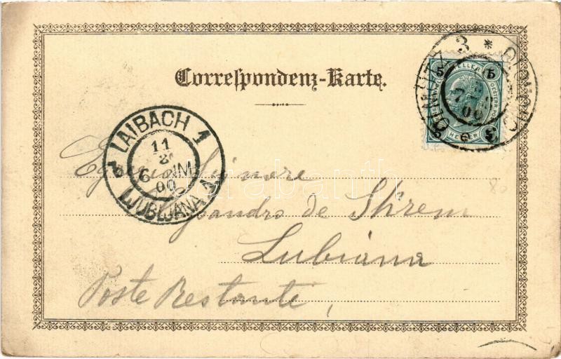 1900 Svaty Kopecek (Olomouc, Olmütz); Heiligenberg, St. Anna Kapelle, Wald-Idylle (Adamuvka-Brunnen), Villa der Schönen Aussicht, Kirchenportal. Art Nouveau, floral, litho (small tear) - Image 2