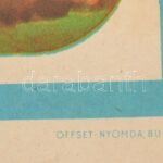 Pál György: Falusi lakodalom - Offset Nyomda, színes plakát feltekerve 82x59 cm - Image 3