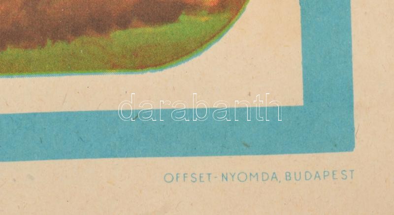 Pál György: Falusi lakodalom - Offset Nyomda, színes plakát feltekerve 82x59 cm - Image 3