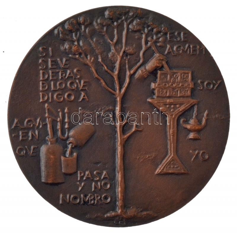 Kő Pál (1941-2020) ~1960. 'Gregorio Maranon 1887-1960' spanyol orvost ábrázoló kétoldalas bronz emlékérem (80mm) T:1 - Image 3