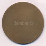 DN 'Sárvár' egyoldalas bronz emlékérem (60mm) T:1- - Image 2