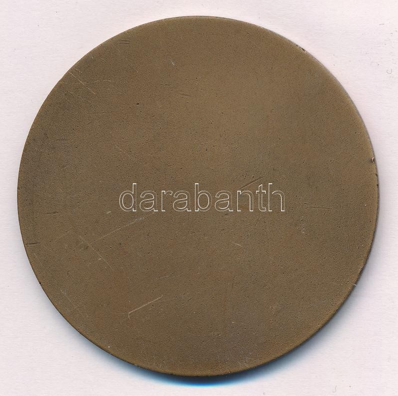 DN 'Sárvár' egyoldalas bronz emlékérem (60mm) T:1- - Image 2