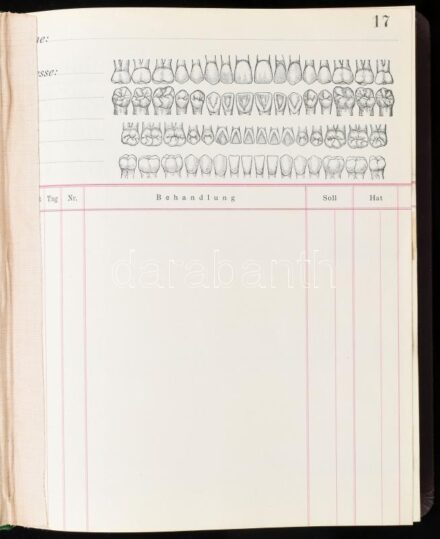 cca 1900 Fogorvos kezelés nyilvántartó könyve. 17-298. számozott oldallal, Korabeli egészvászon kötésben / Dentist's booklet for treatments