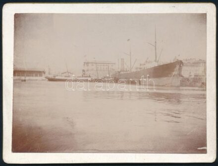 cca 1890 A Fiumei kikötő. Keményhátú fotó / Shipyard in Fiume photo 12x9 cm