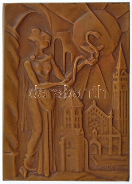 Képíró Zoltán (1944-1981) DN 'UNIVERSITAS SCIENTIARUM MEDICINAE SZEGED' kétoldalas bronz plakett (80x55mm) T:1- ü.