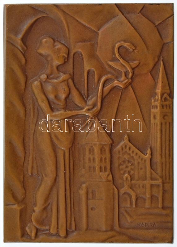 Képíró Zoltán (1944-1981) DN 'UNIVERSITAS SCIENTIARUM MEDICINAE SZEGED' kétoldalas bronz plakett (80x55mm) T:1- ü.