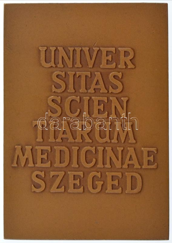 Képíró Zoltán (1944-1981) DN 'UNIVERSITAS SCIENTIARUM MEDICINAE SZEGED' kétoldalas bronz plakett (80x55mm) T:1- ü. - Image 2