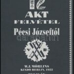 12 akt felvétel Pécsi Józseftől. Berlin, 1922, Mörlins. REPRINT! Kiadói papírkötés, jó állapotban.