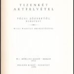 12 akt felvétel Pécsi Józseftől. Berlin, 1922, Mörlins. REPRINT! Kiadói papírkötés, jó állapotban. - Image 2