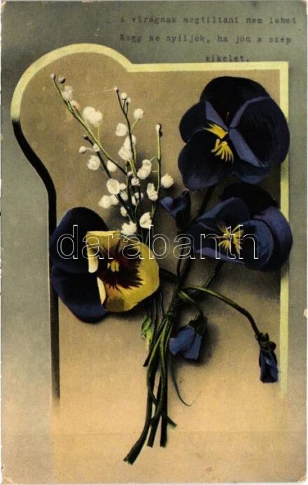 1910 Virágos üdvözlet / Flower greeting