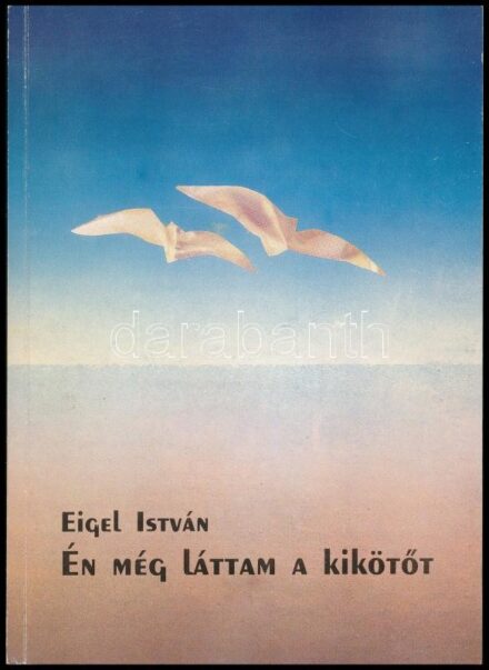 Eigel István: Én láttam meg a kikötőt. A szerző, festőművész által Sümegi György (1947-) művészettörténésznek DEDIKÁLT példány. Bp., 1994., Magyar Írókamara. Kiadói papírkötés,