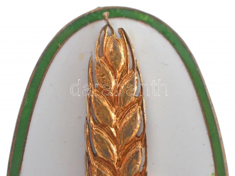 ~1947. 'Aranykalászos Gazda' Tildy-címeres zománcozott bronz jelvény, csavaros hátlap, 'CEGLÉD 25' gravírozással (46x24mm) T:1-,2 ph. / Hungary ~1947. 'Aranykalászos Gazda' enamelled screwback bronze badge with Tildy coat of arms, engraved - Image 3