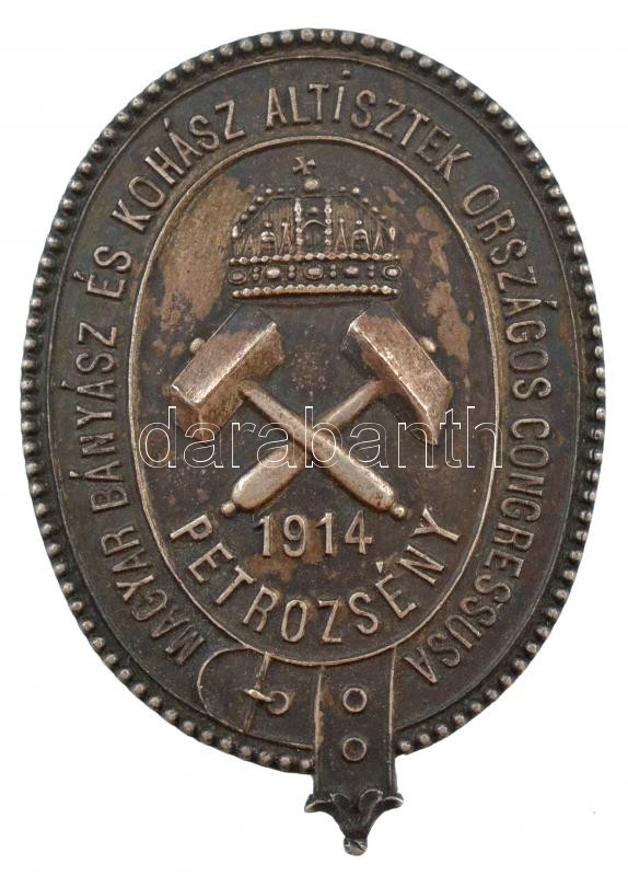 1914. 'Magyar Bányász és Kohász Altisztek Országos Congressusa - 1914 Petrozsény' jelzetlen Ag gomblyukjelvény, 'F. SCHAEFFLER WIEN VII. NEUBAUG. 60' gyártói jelzéssel (11,02g/41x29mm) T:1-,2 Austro-Hungarian Monarchy 1914. 'Magyar