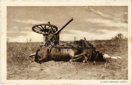 A futó ellenség mögött. 'A Képes Újság' karácsonyi ajándéka / WWI Austro-Hungarian K.u.K. military, injured horse